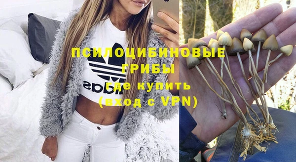 сатива Алексин
