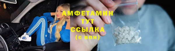 прущие грибы Алексеевка