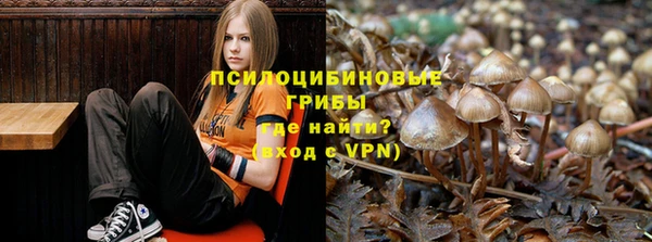 прущие грибы Алексеевка