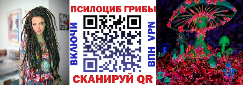 Псилоцибиновые грибы мицелий  Валдай 
